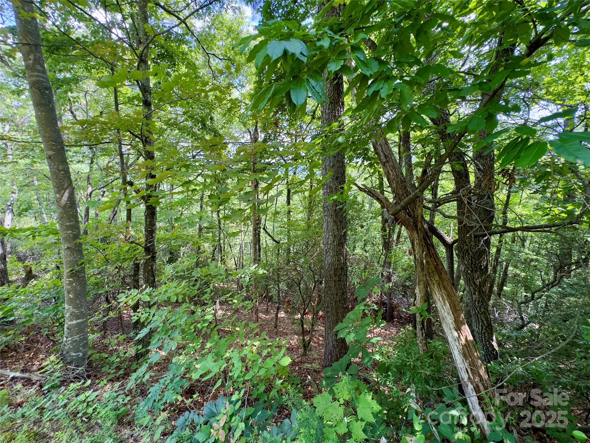 Lot at Black Mountain, photo 3 of 11