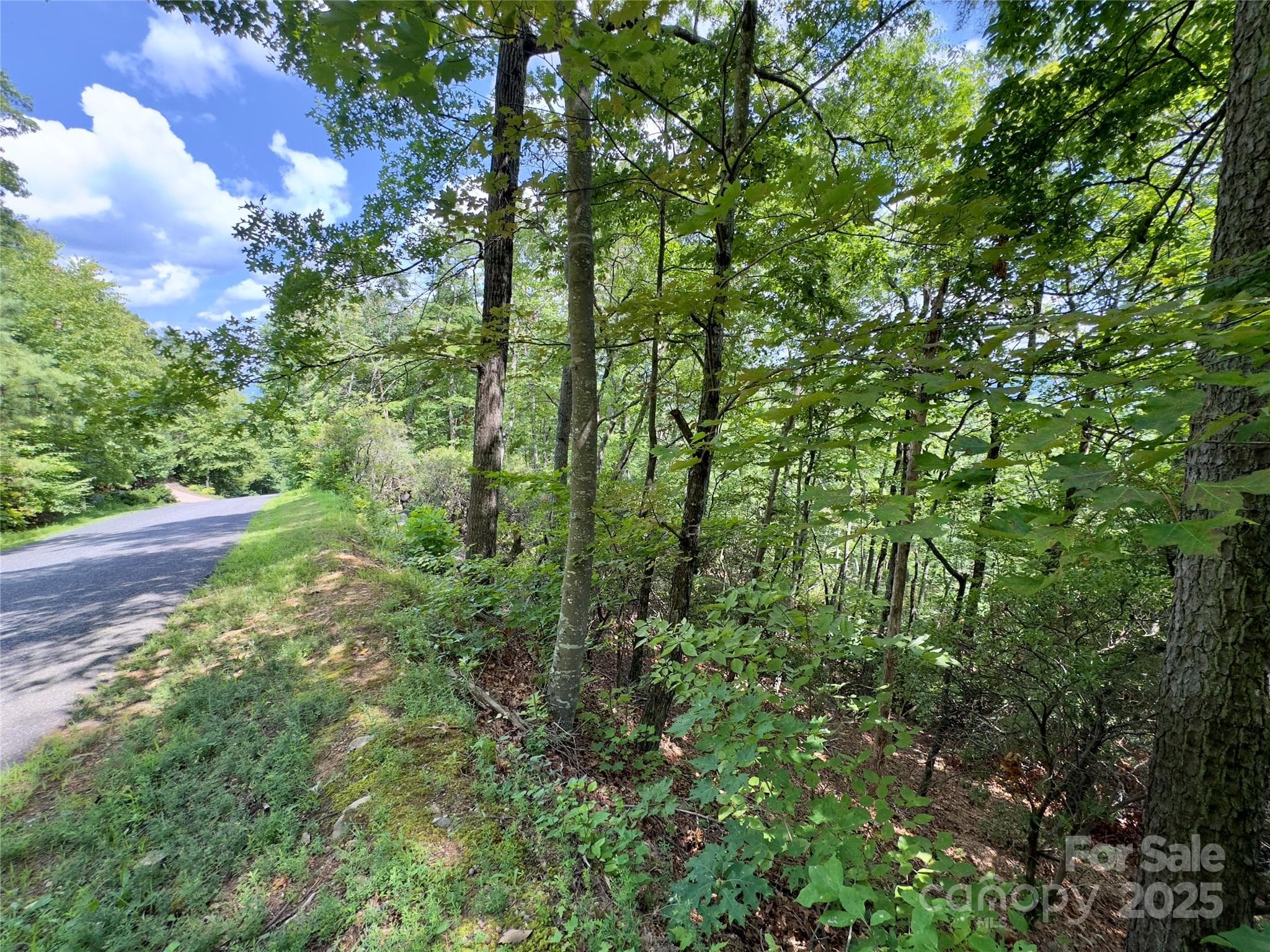 Lot at Black Mountain, photo 4 of 11