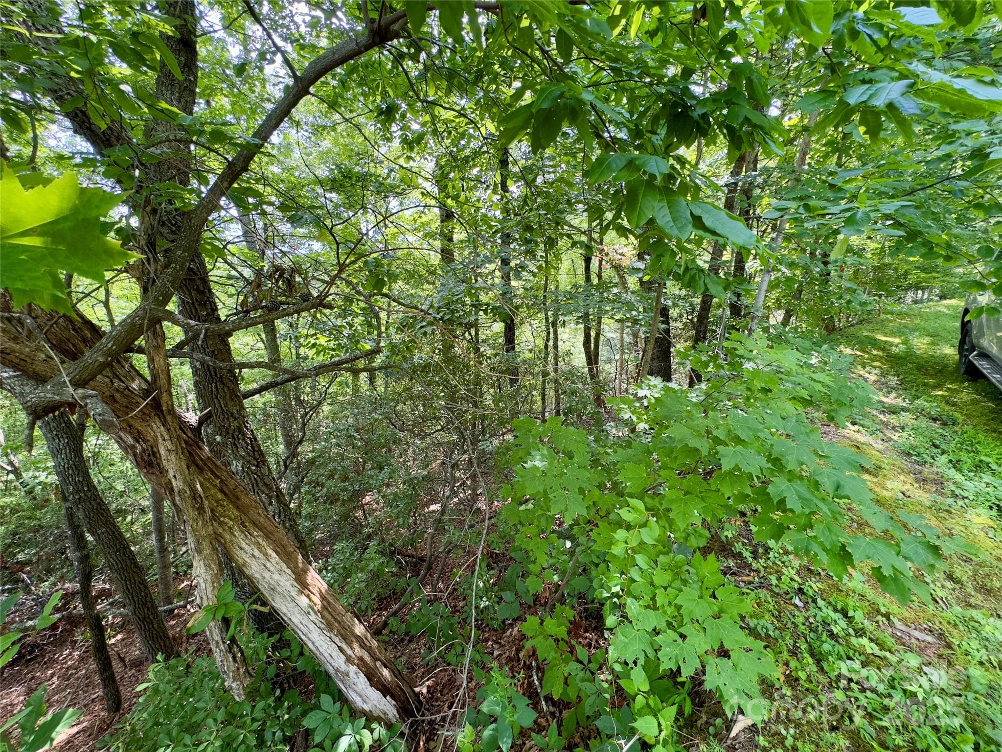 Lot at Black Mountain, photo 5 of 11