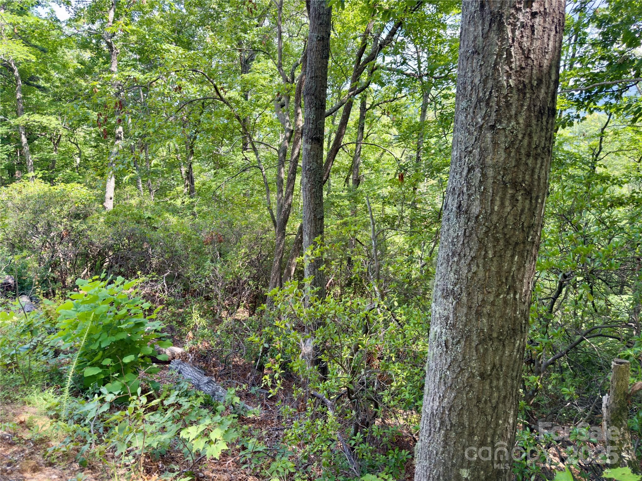 Lot at Black Mountain, photo 9 of 11