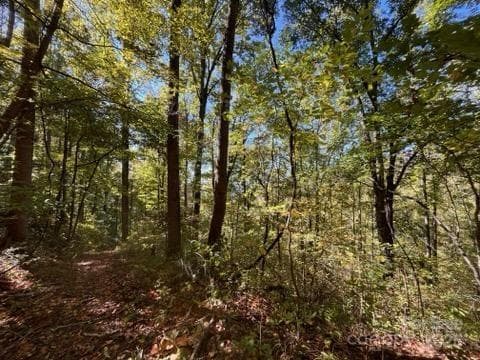 Acreage at Weaverville, photo 2 of 22