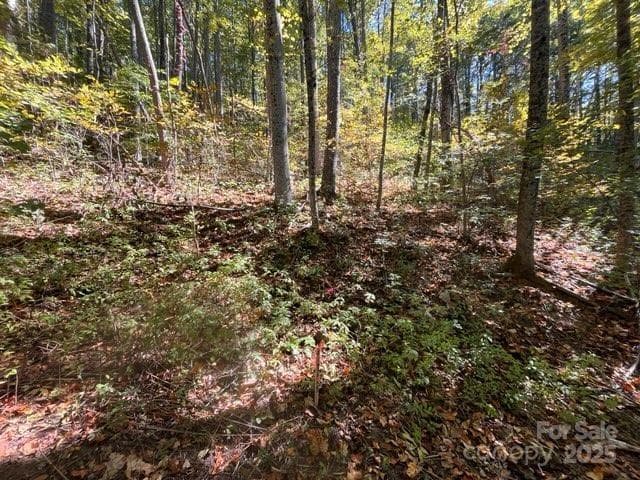Acreage at Weaverville, photo 3 of 22