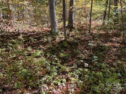 Acreage at Weaverville, photo 4 of 22
