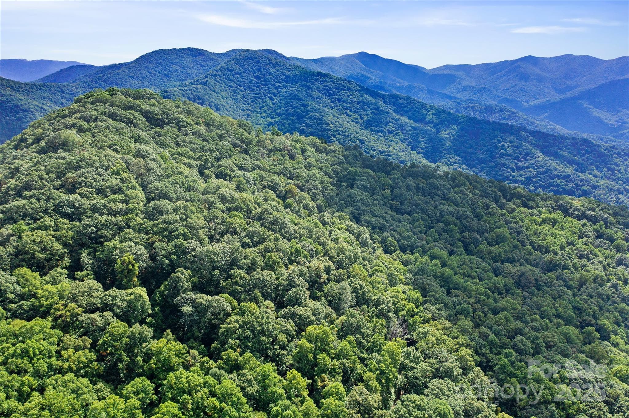Acreage at Weaverville, photo 8 of 22