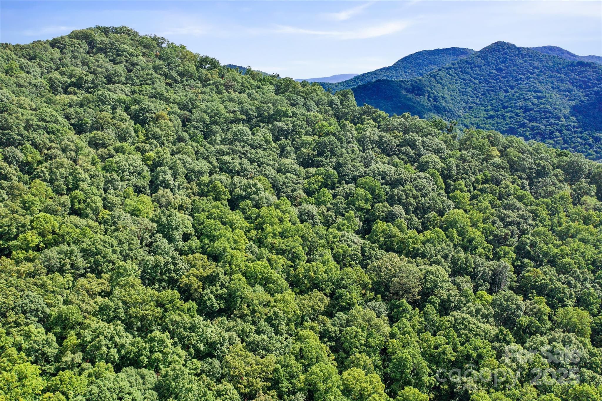 Acreage at Weaverville, photo 9 of 22