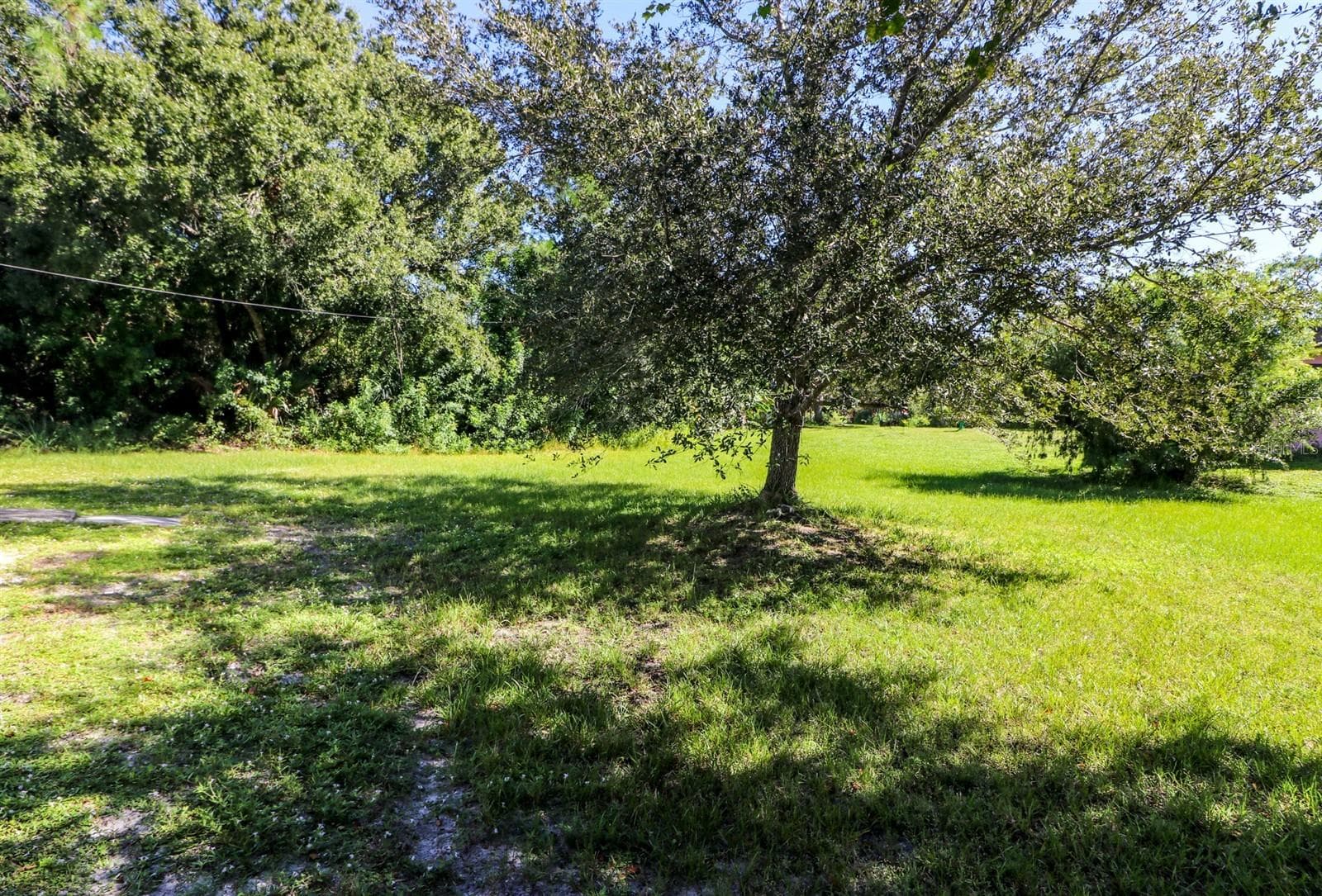 Mature Landscaping - 3580 SWANEE RD, PORT CHARLOTTE