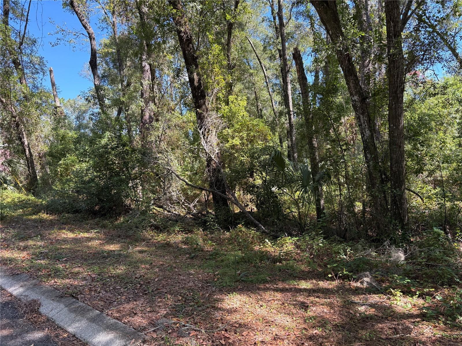 Land at 1222 CLOVER TER, INVERNESS, photo 2 of 4