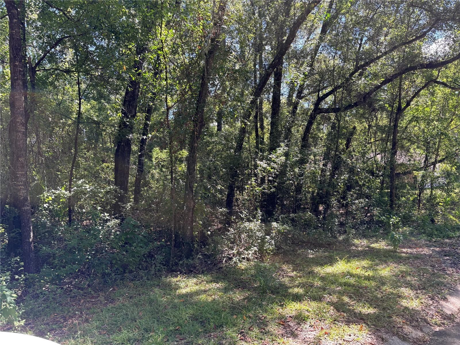 Land at 1222 CLOVER TER, INVERNESS, photo 3 of 4