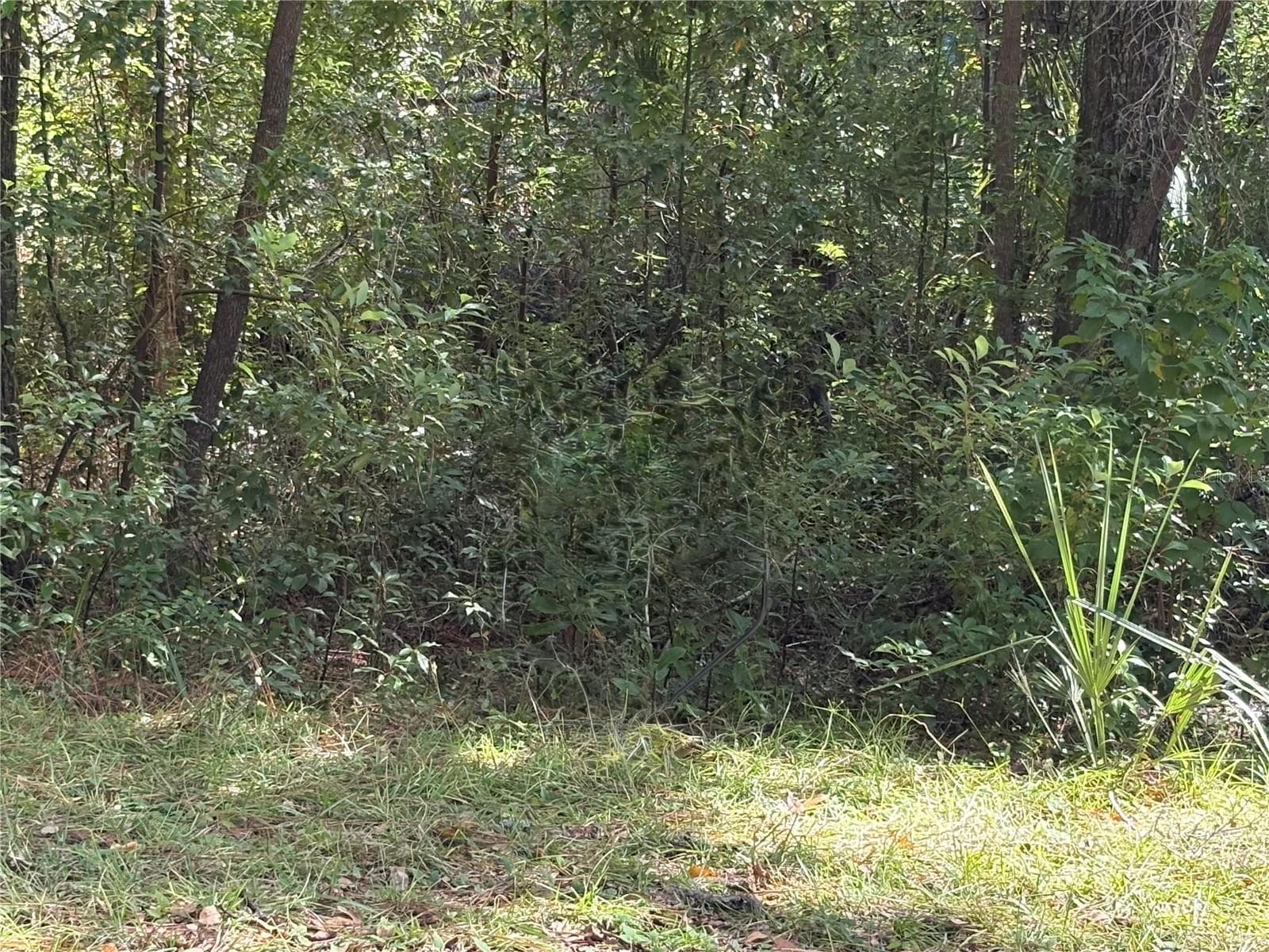 Land at 1228 CLOVER TER, INVERNESS, photo 2 of 6