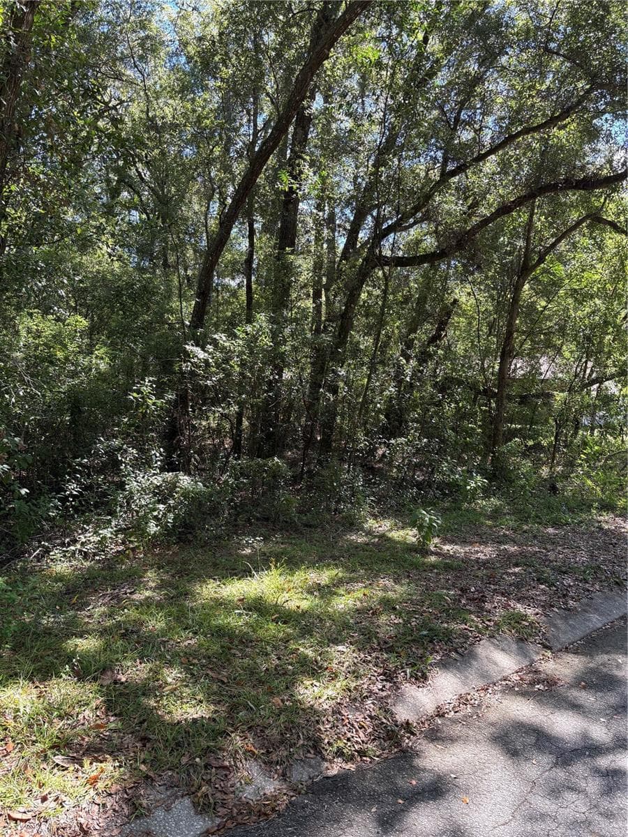 Land at 1228 CLOVER TER, INVERNESS, photo 3 of 6