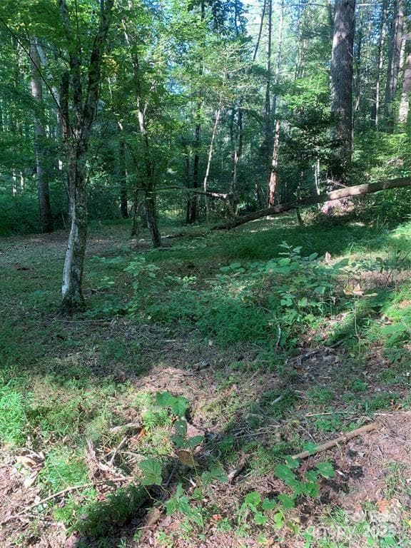 Lot at Morganton, photo 2 of 24