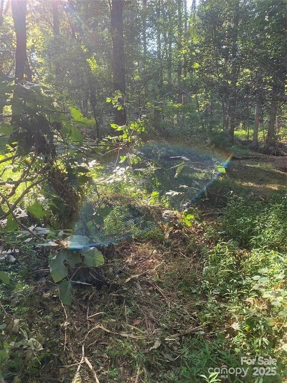 Lot at Morganton, photo 3 of 24