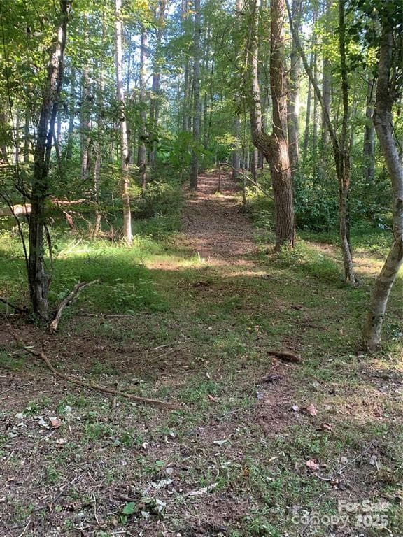 Lot at Morganton, photo 4 of 24