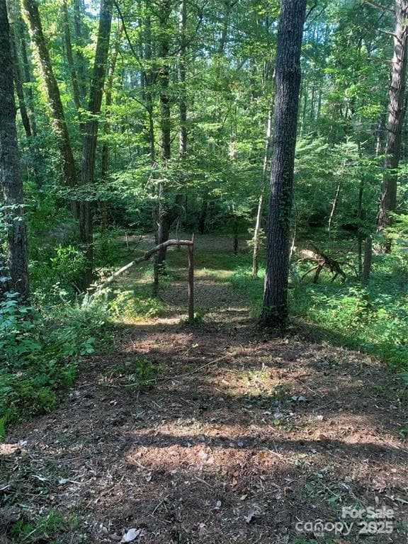 Lot at Morganton, photo 6 of 24