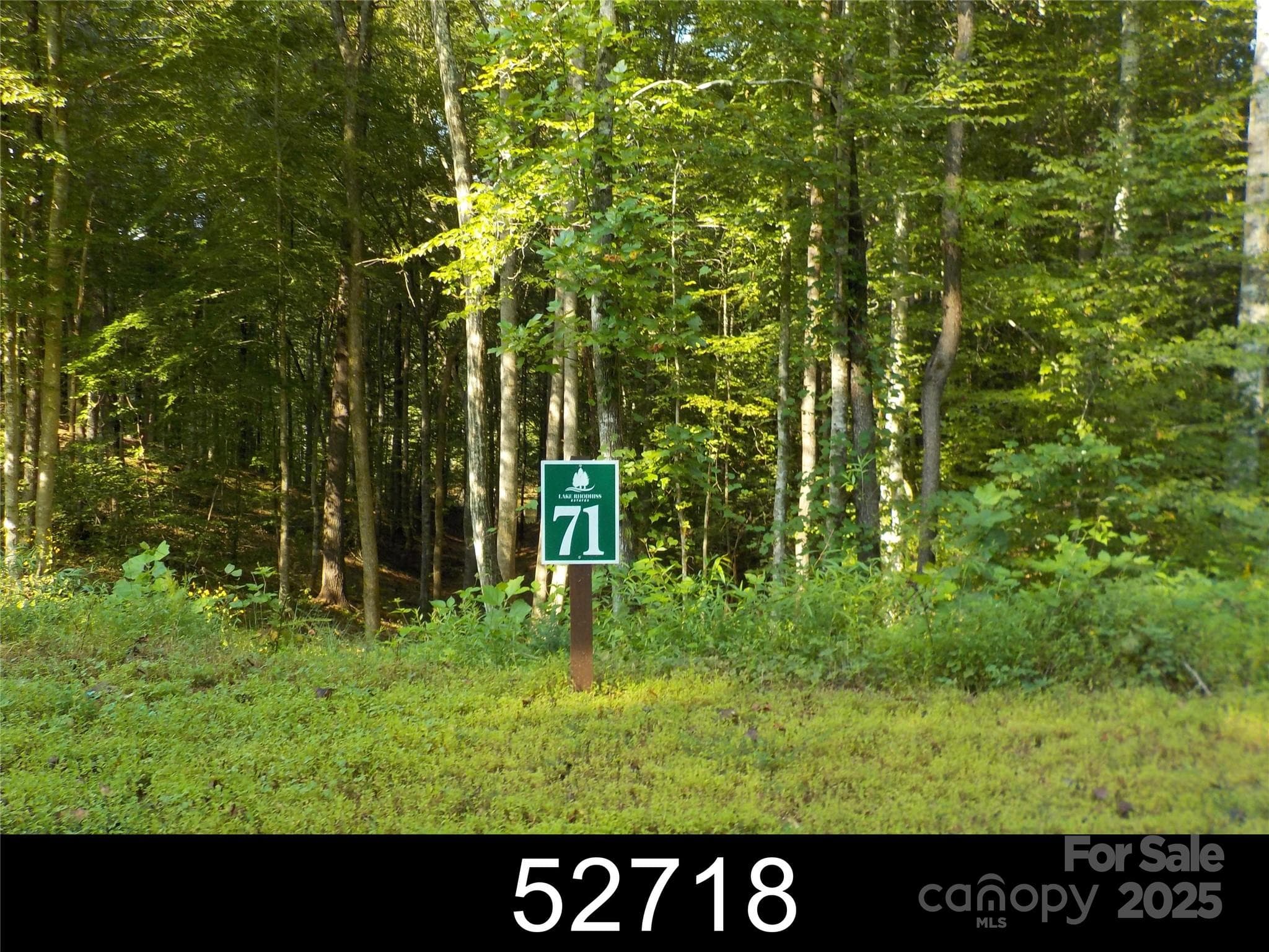 Lot at Morganton, photo 2 of 19