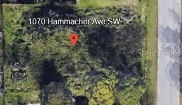 1070 HAMMACHER AVE SW