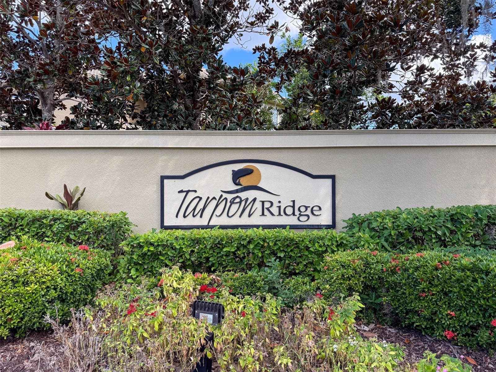 Townhouse at 2539 SILVERBACK CT, PALM HARBOR, photo 38 of 46
