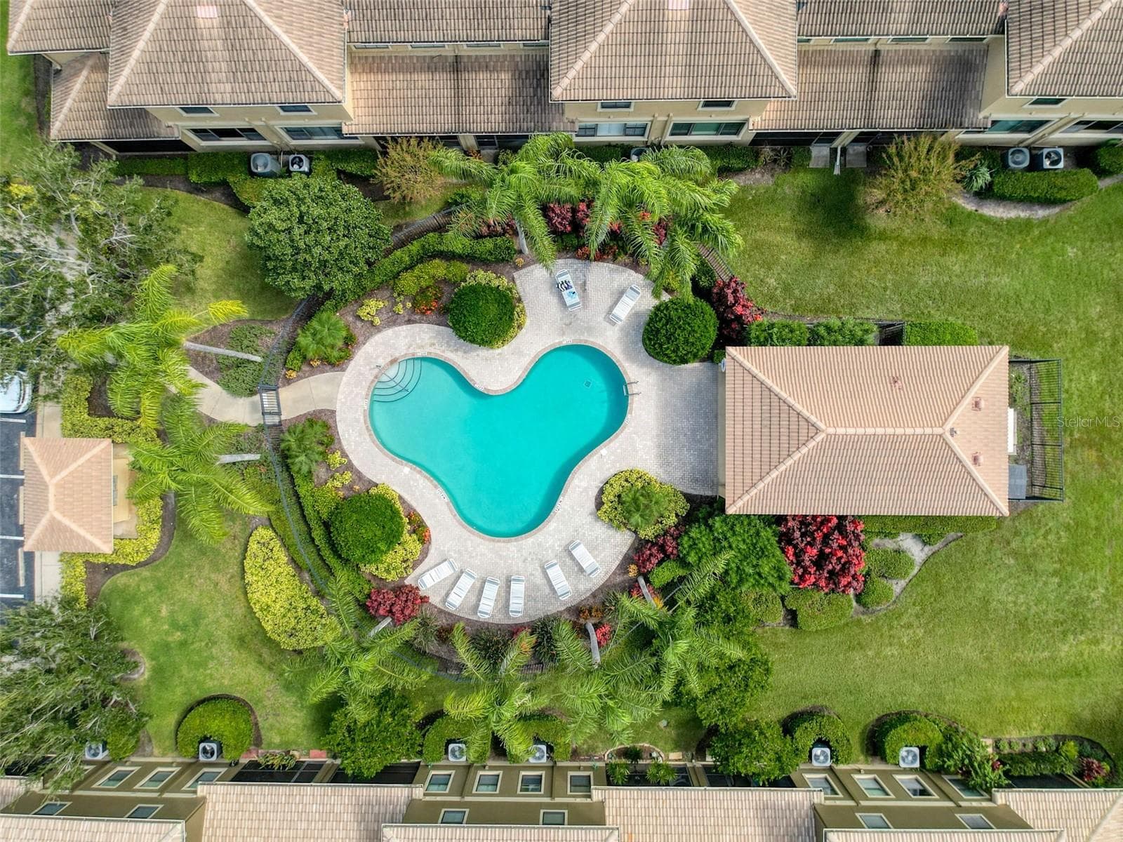 Aerial view of the community pool - 2539 SILVERBACK CT, PALM HARBOR