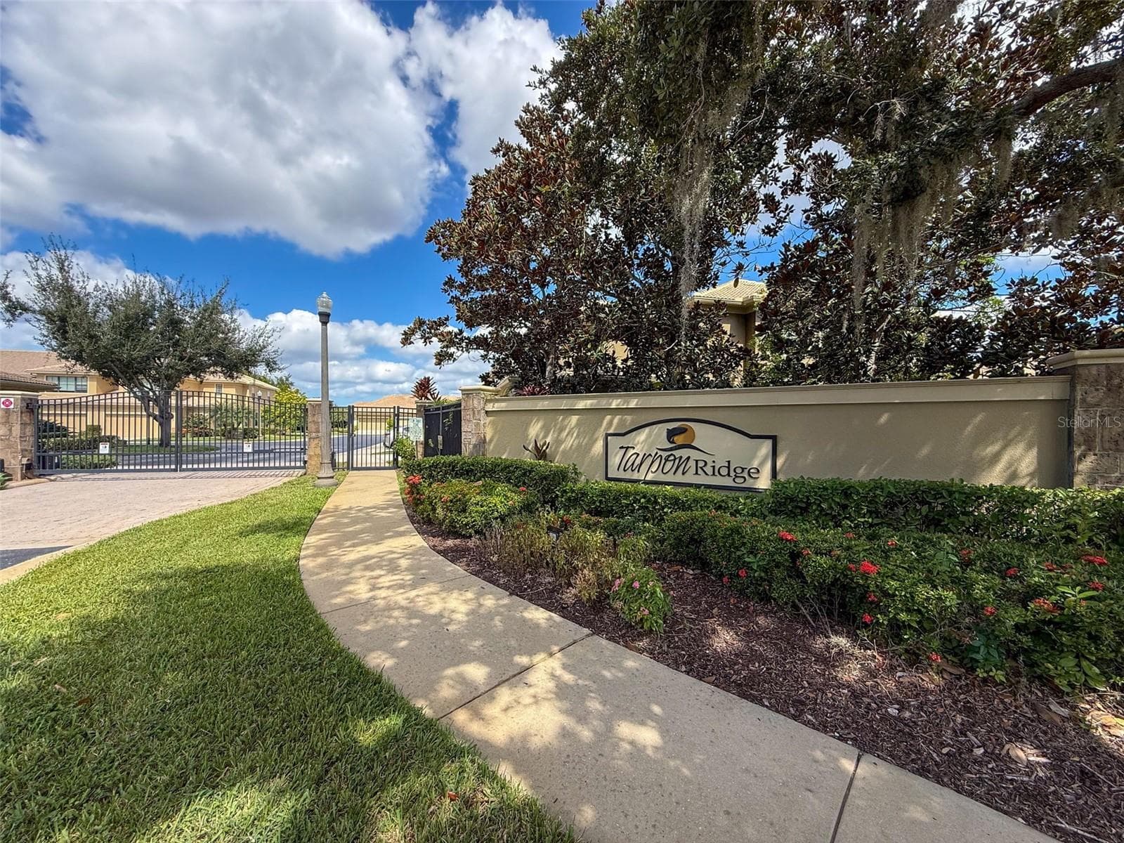 Townhouse at 2539 SILVERBACK CT, PALM HARBOR, photo 43 of 46