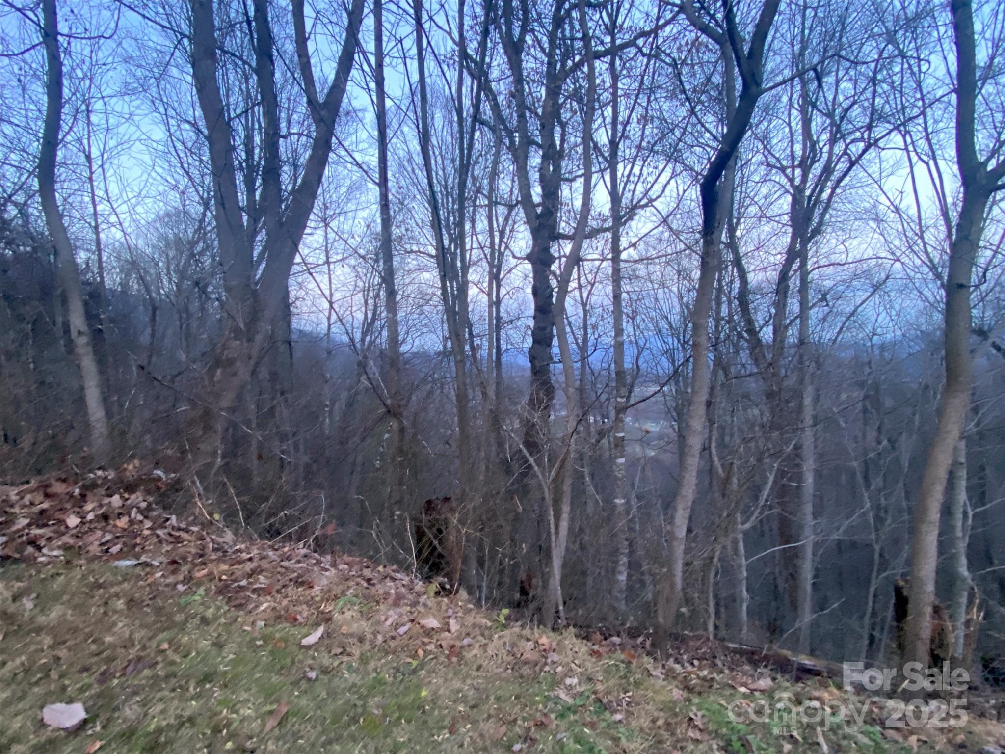 Lot at Waynesville, photo 3 of 10