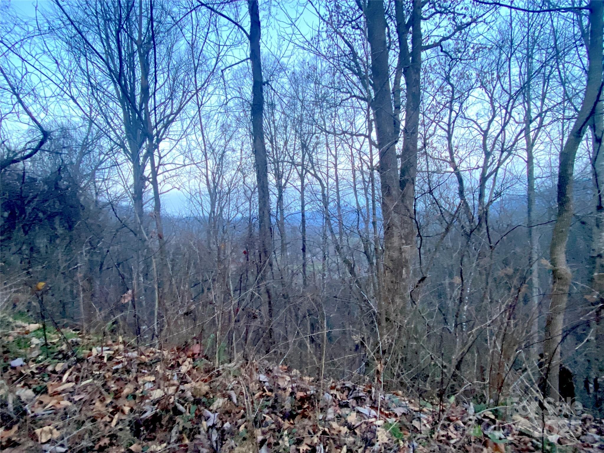 Lot at Waynesville, photo 4 of 10