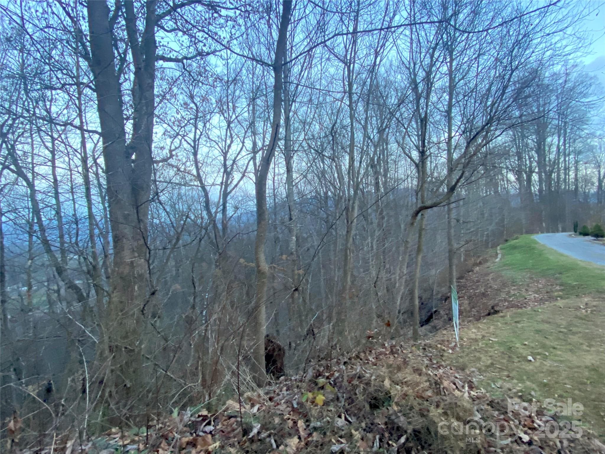 Lot at Waynesville, photo 5 of 10