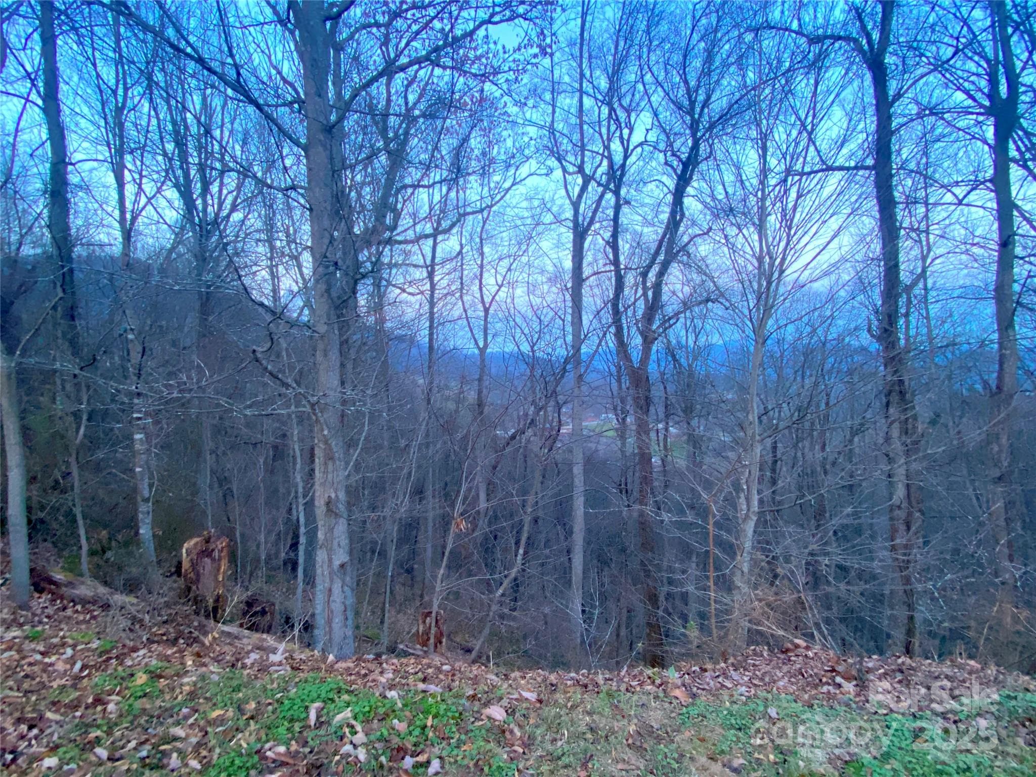 Lot at Waynesville, photo 7 of 10