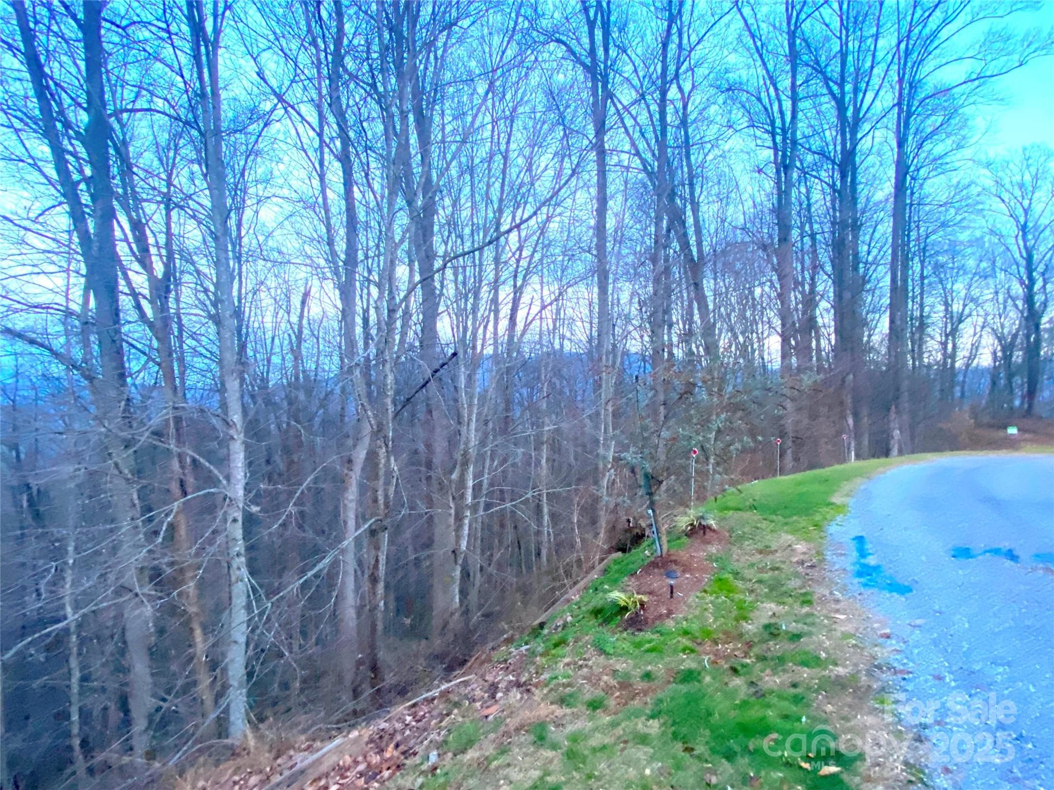 Lot at Waynesville, photo 9 of 10