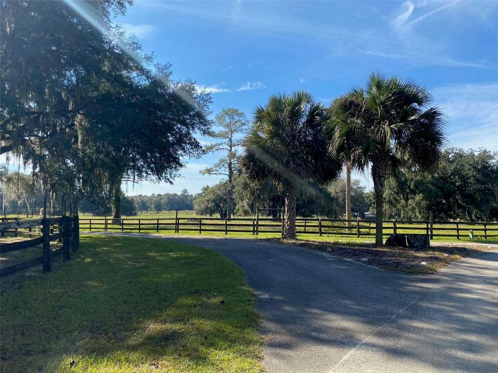 Farm at 19350 NW 123RD CT, MICANOPY, photo 20 of 54