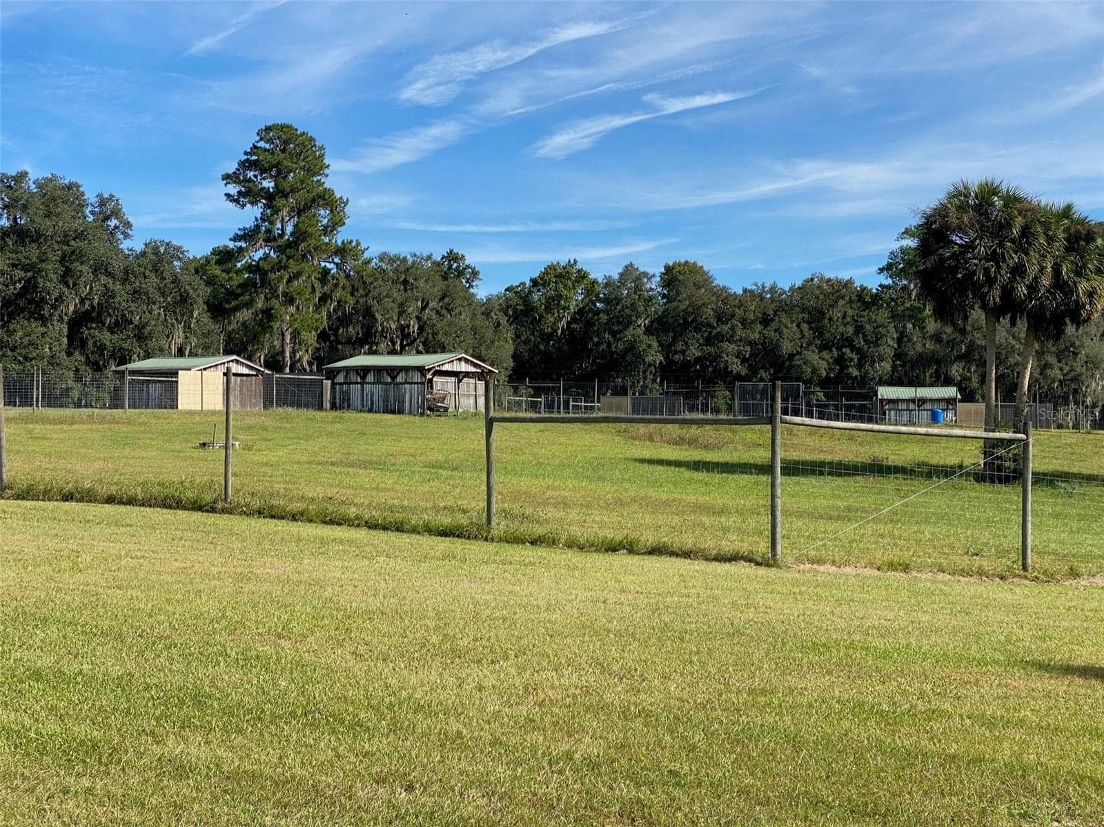 Farm at 19350 NW 123RD CT, MICANOPY, photo 36 of 54