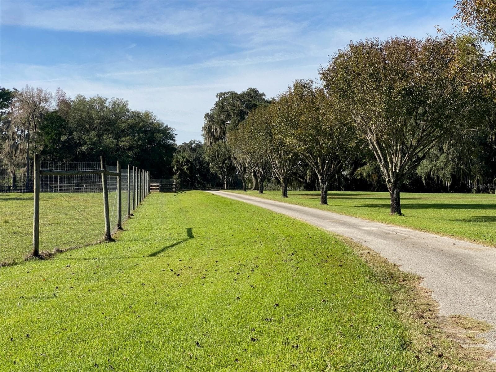 Farm at 19350 NW 123RD CT, MICANOPY, photo 37 of 54