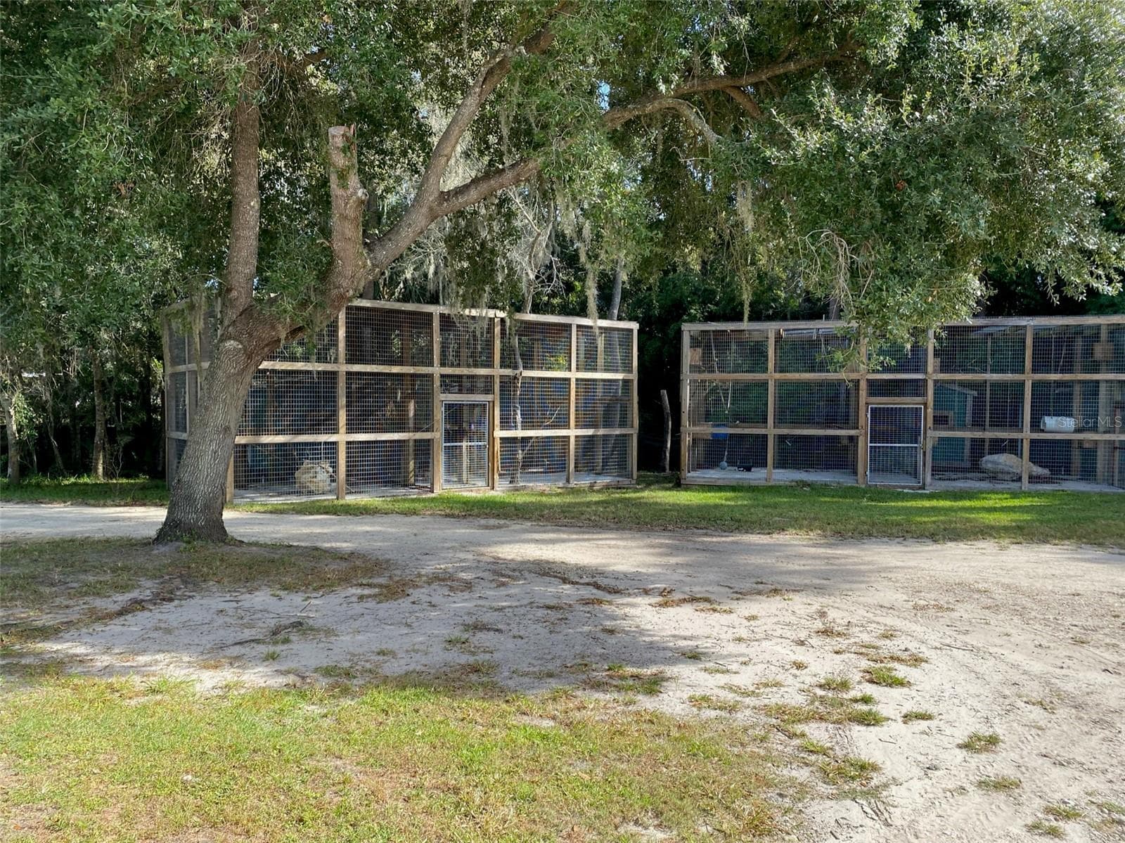 Farm at 19350 NW 123RD CT, MICANOPY, photo 40 of 54