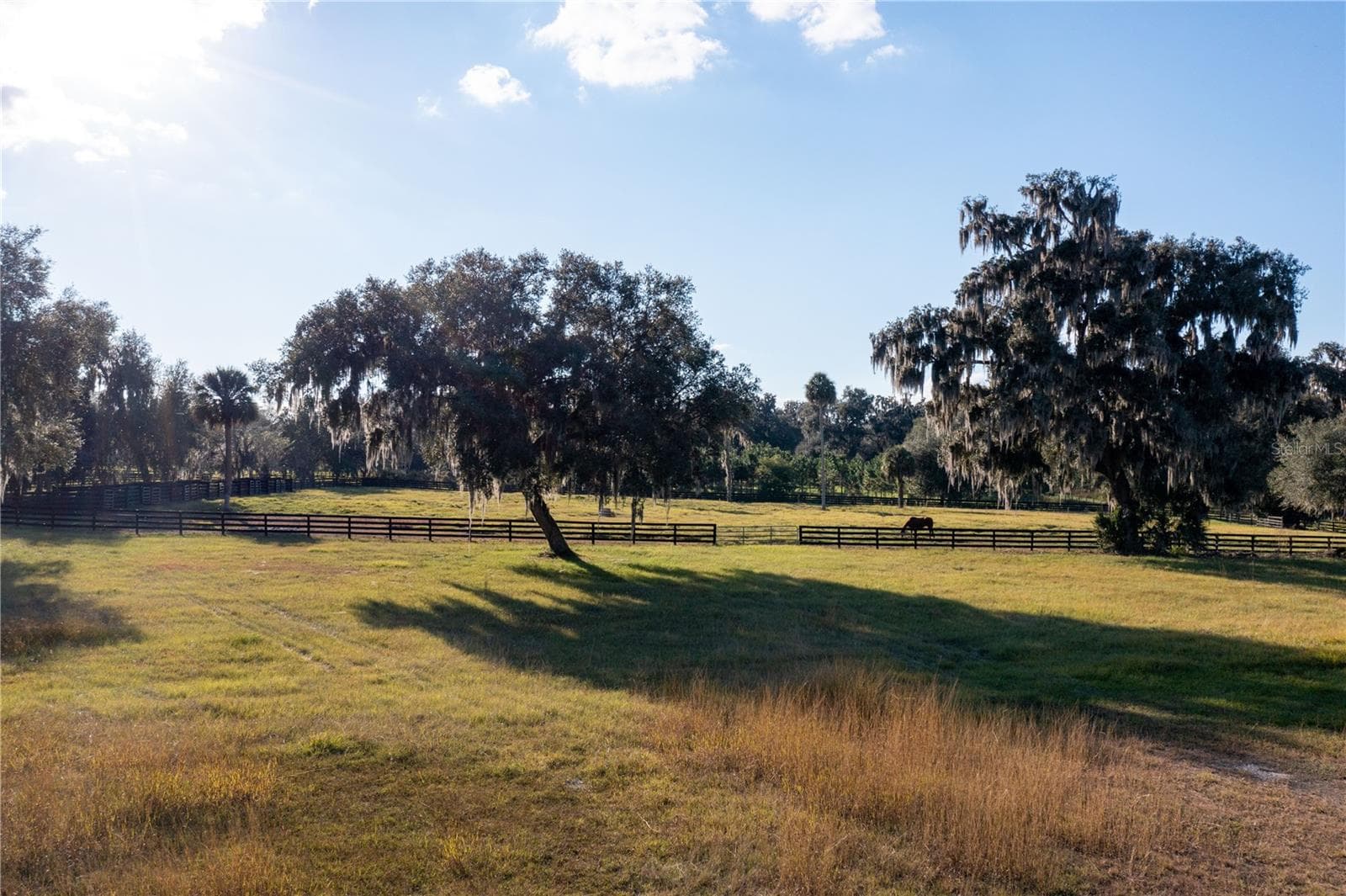 Farm at 19350 NW 123RD CT, MICANOPY, photo 50 of 54
