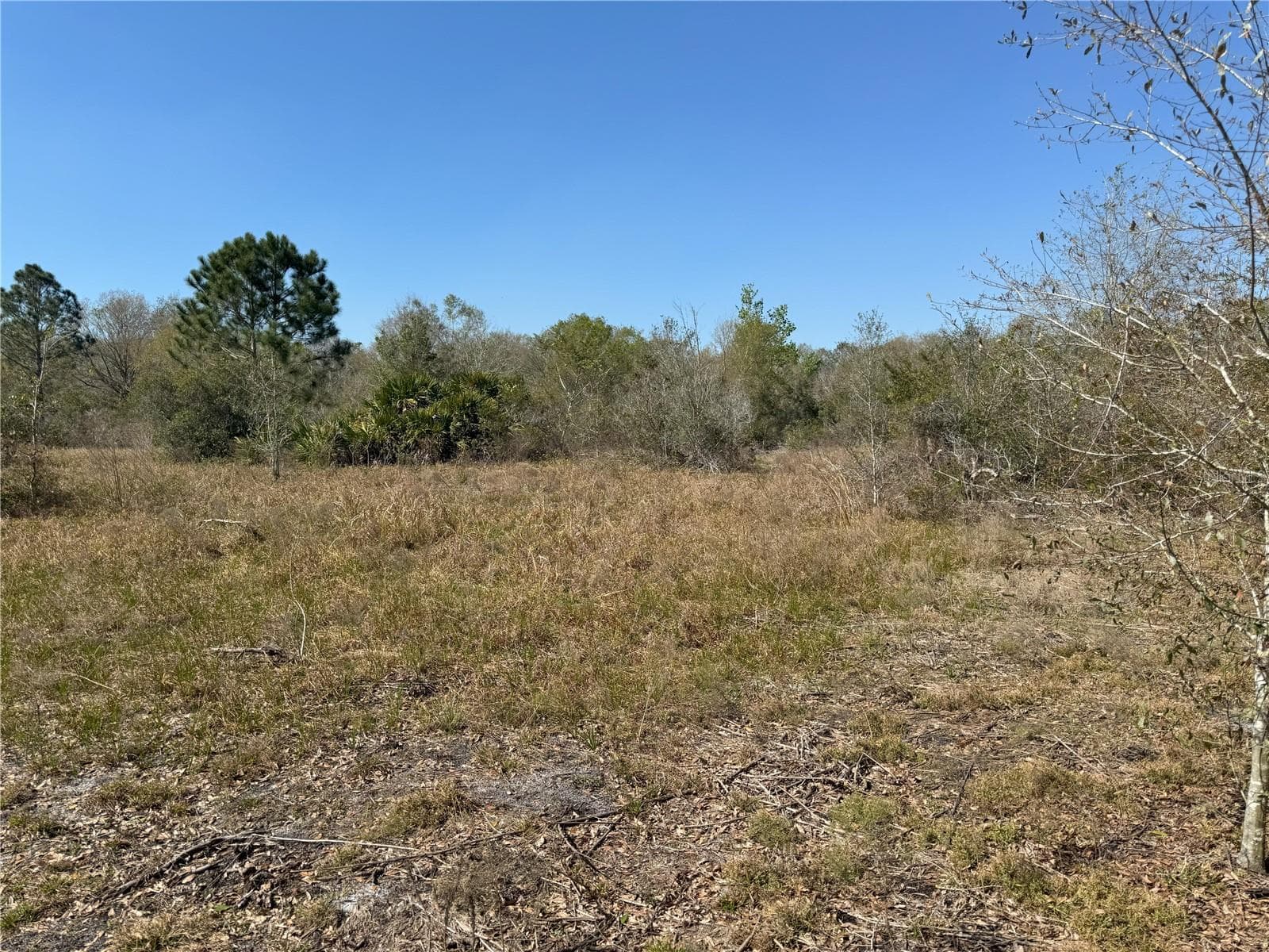 Land at 0 LAKE BUFFUM RD, LAKE WALES, photo 5 of 21