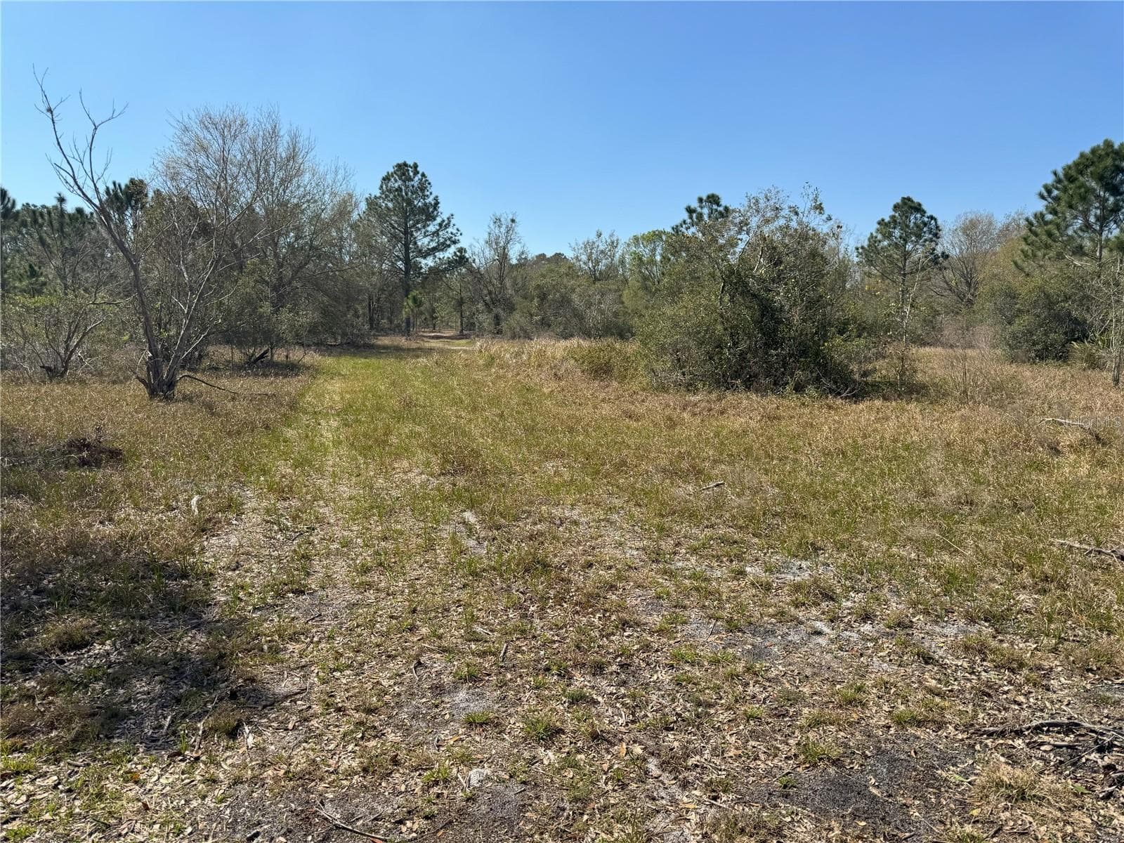 Land at 0 LAKE BUFFUM RD, LAKE WALES, photo 6 of 21