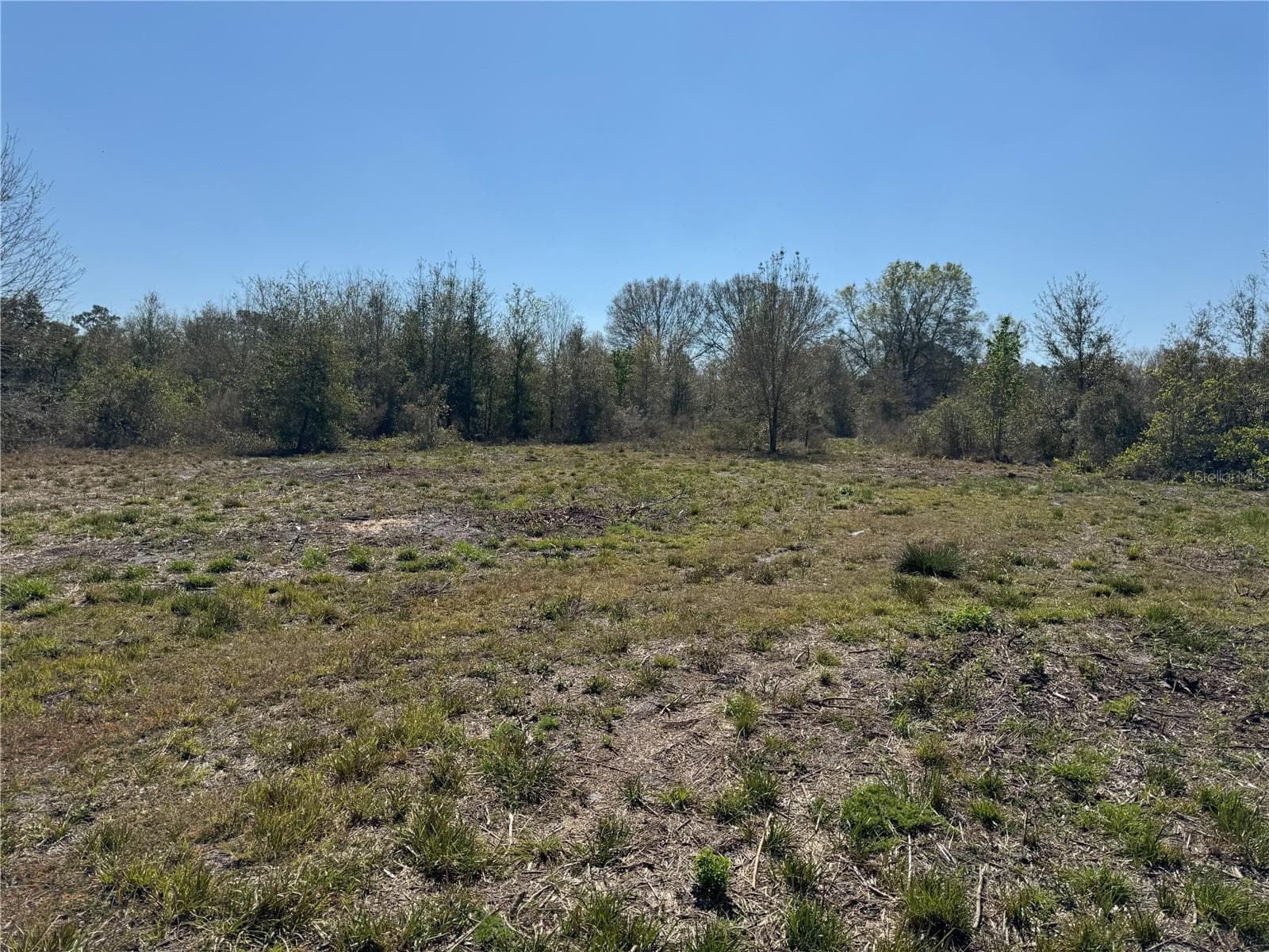 Land at 0 LAKE BUFFUM RD, LAKE WALES, photo 7 of 21