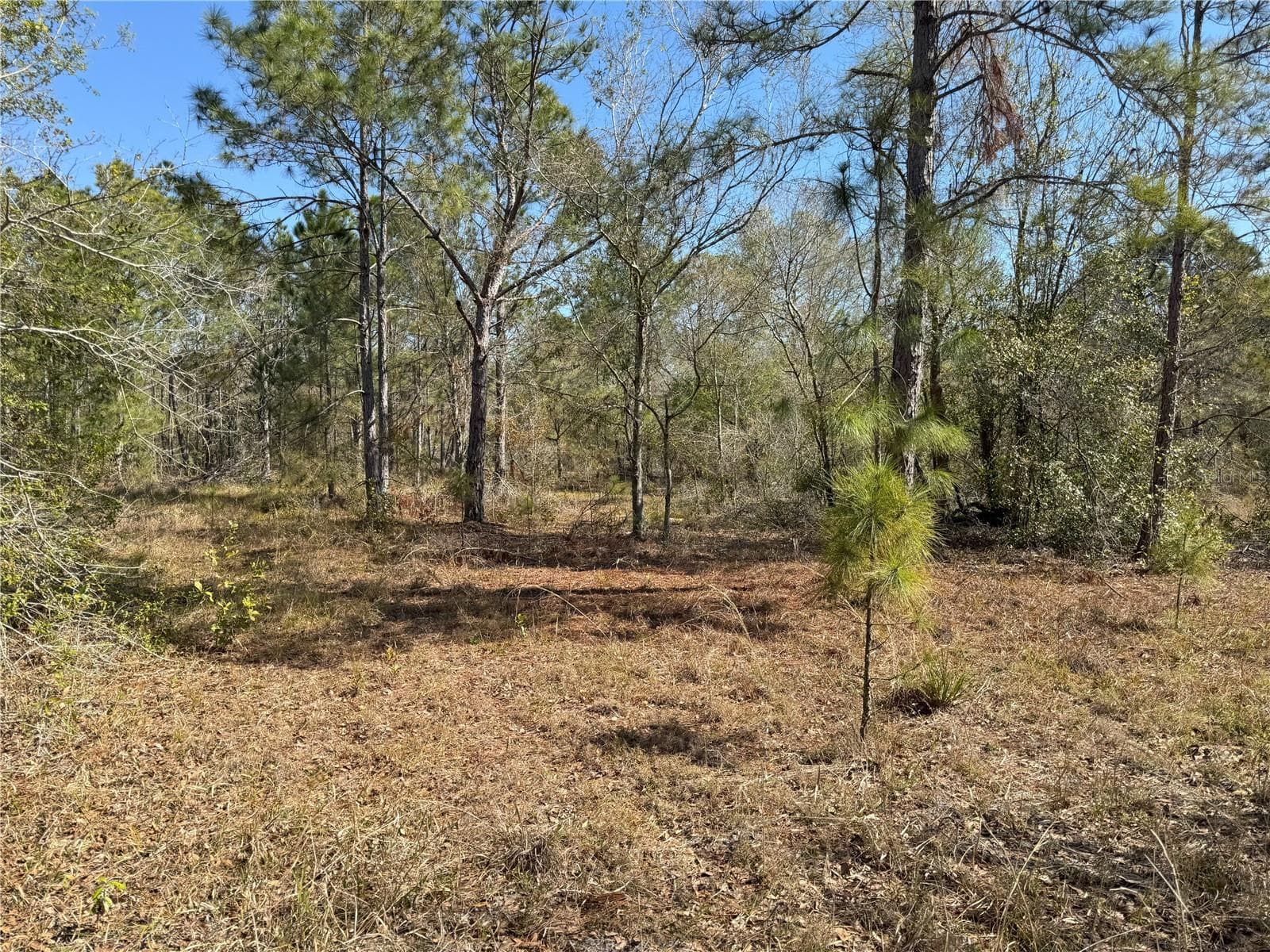 Land at 0 LAKE BUFFUM RD, LAKE WALES, photo 9 of 21