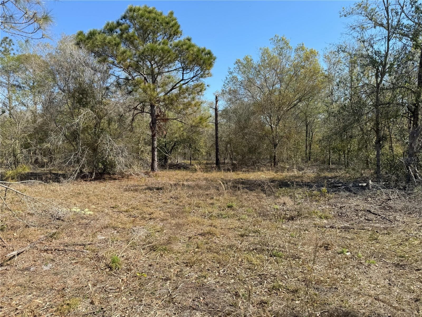 Land at 0 LAKE BUFFUM RD, LAKE WALES, photo 11 of 21
