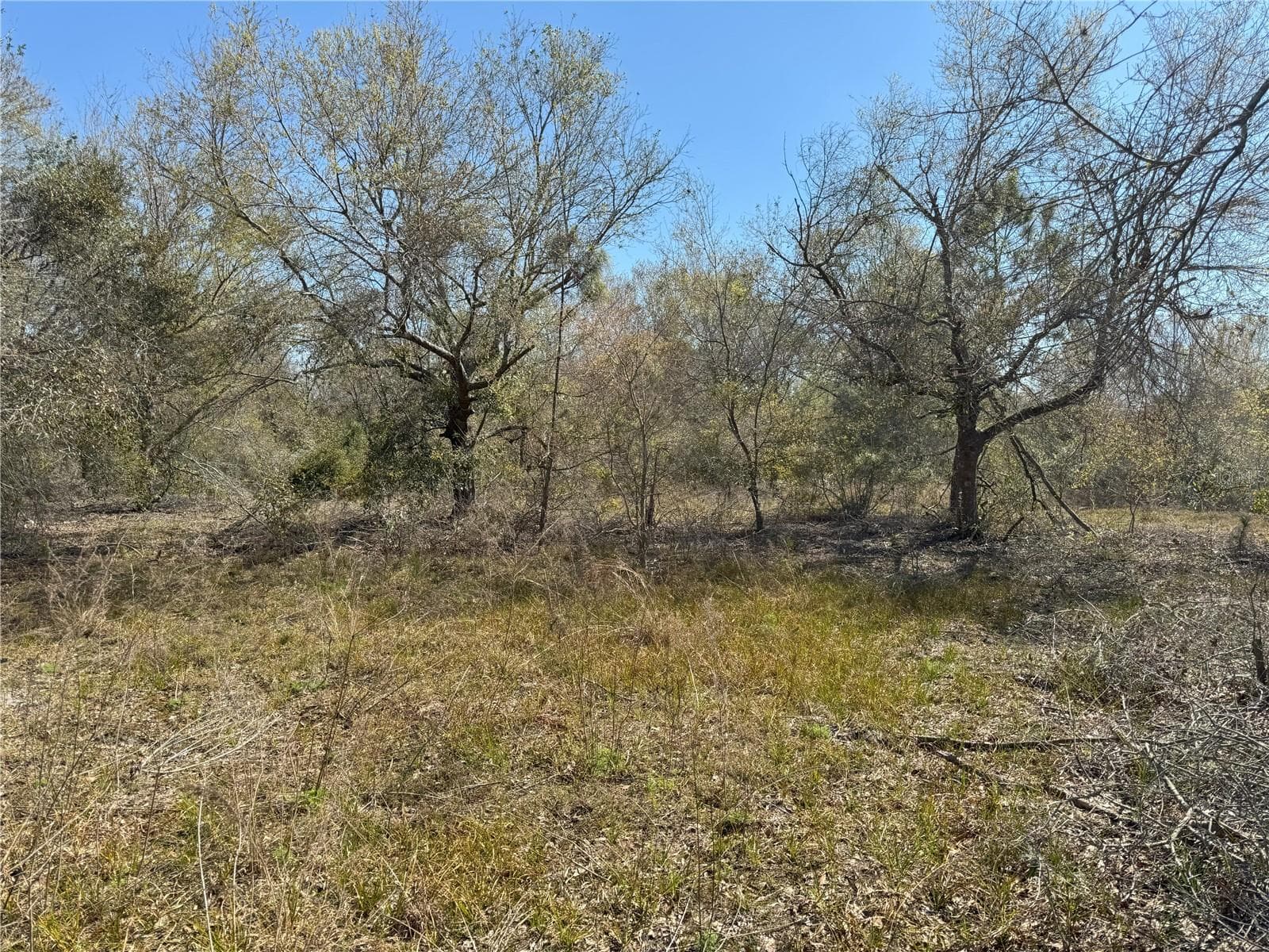 Land at 0 LAKE BUFFUM RD, LAKE WALES, photo 12 of 21