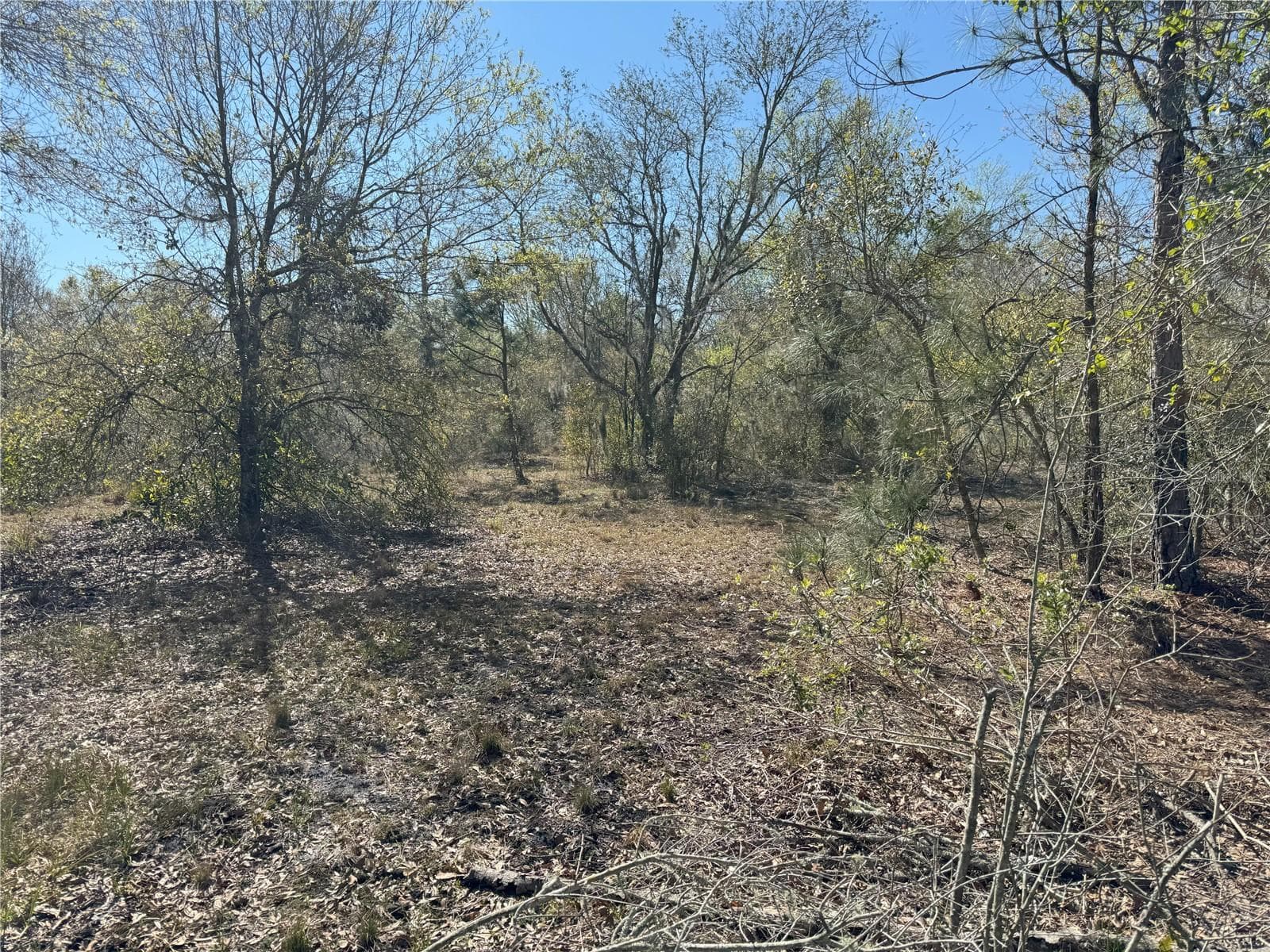 Land at 0 LAKE BUFFUM RD, LAKE WALES, photo 13 of 21