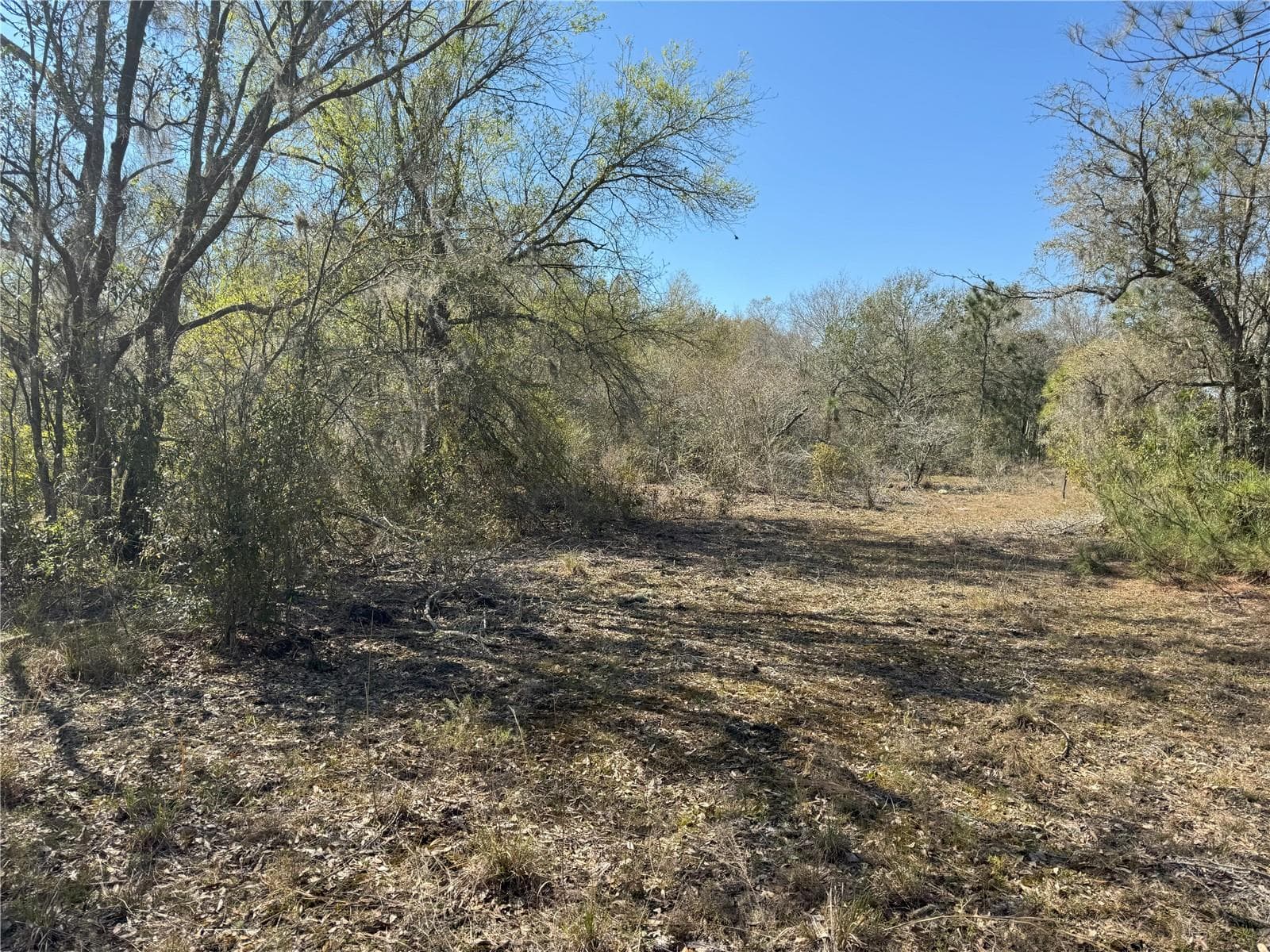 Land at 0 LAKE BUFFUM RD, LAKE WALES, photo 14 of 21