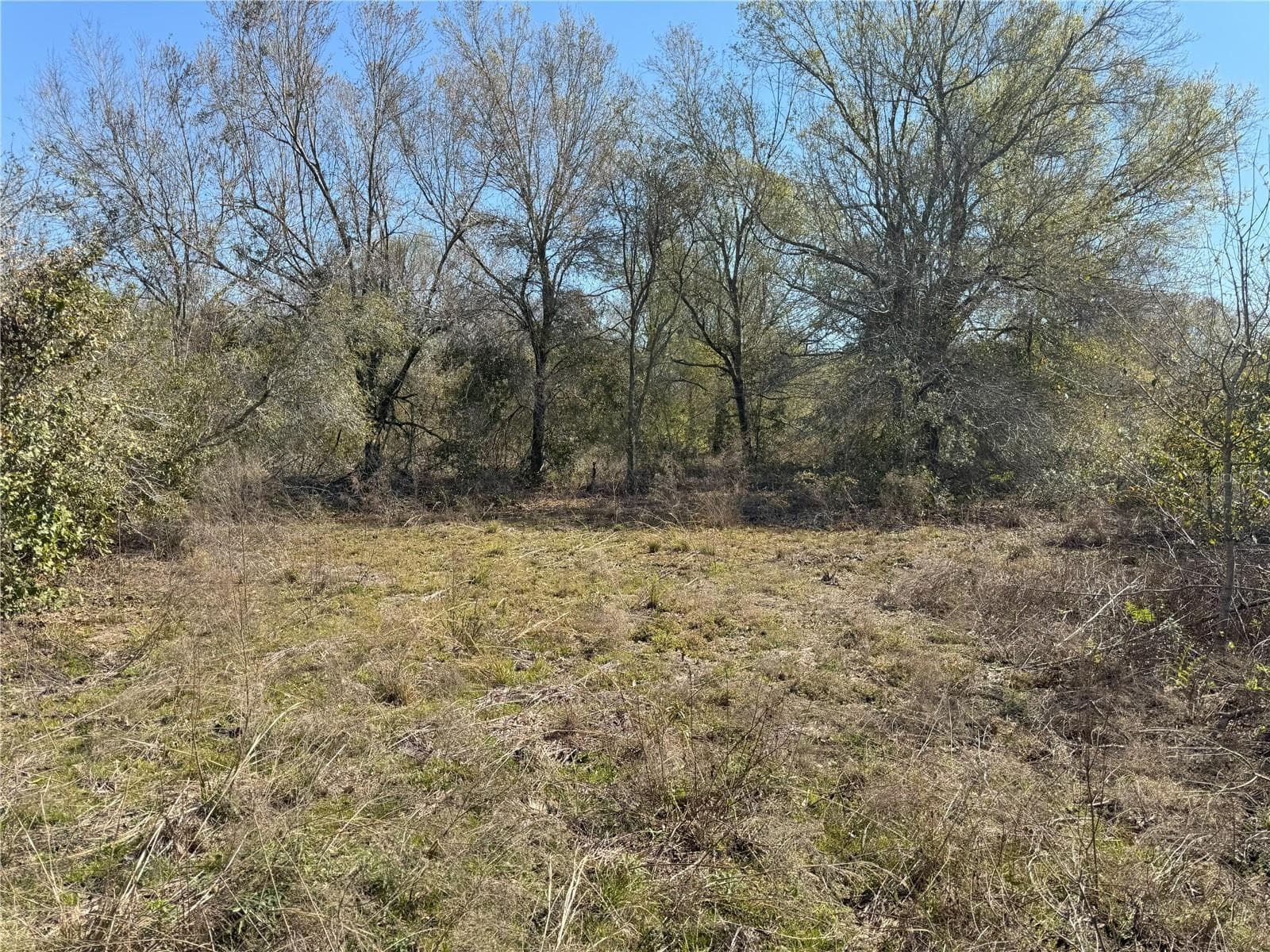 Land at 0 LAKE BUFFUM RD, LAKE WALES, photo 15 of 21