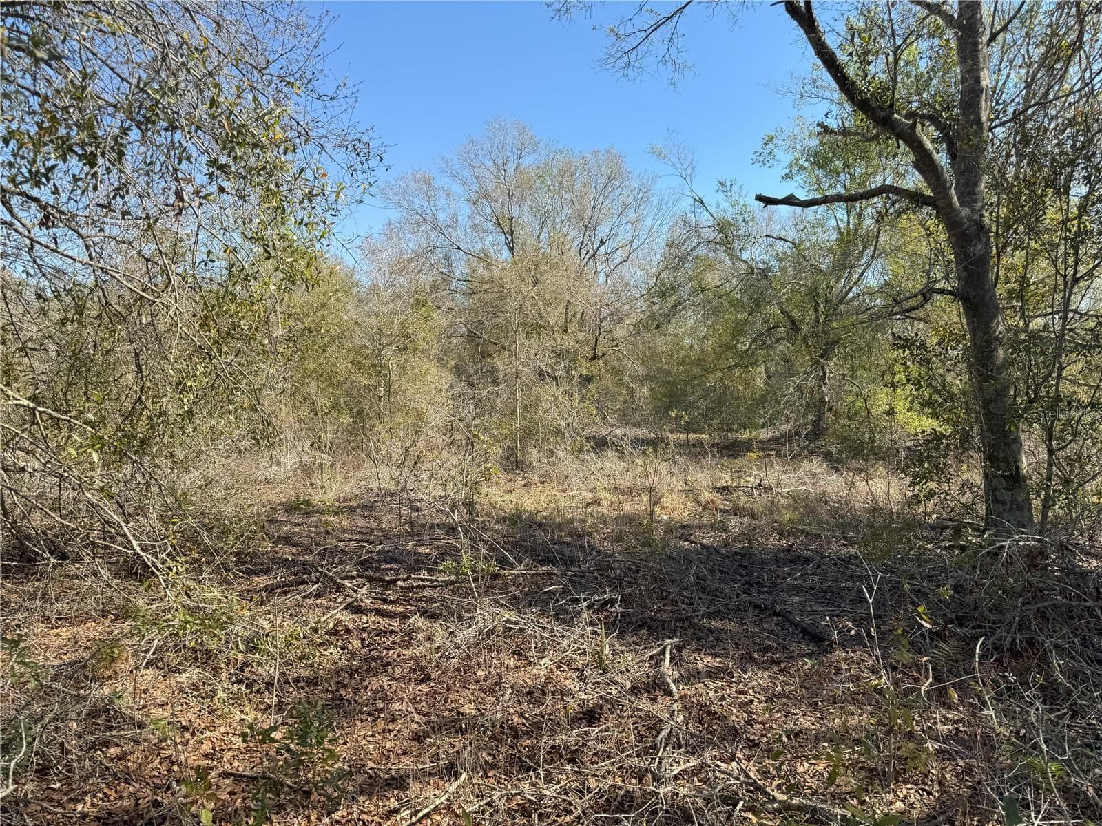 Land at 0 LAKE BUFFUM RD, LAKE WALES, photo 16 of 21
