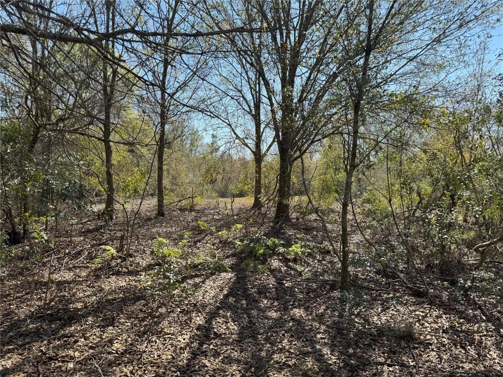 Land at 0 LAKE BUFFUM RD, LAKE WALES, photo 18 of 21