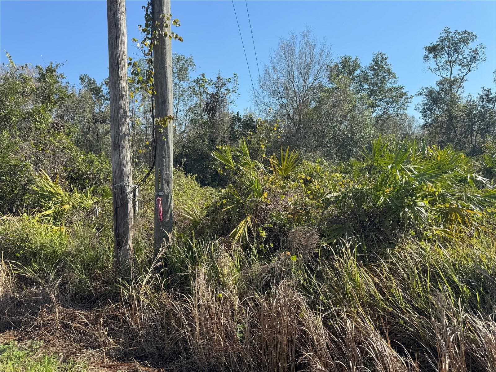 South boundary - 0 LAKE BUFFUM RD, LAKE WALES