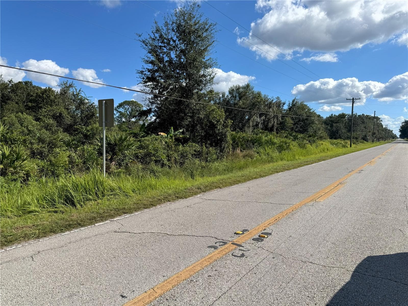 Land at 0 ALTURAS BABSON PARK CUT OFF RD, BARTOW, photo 2 of 22
