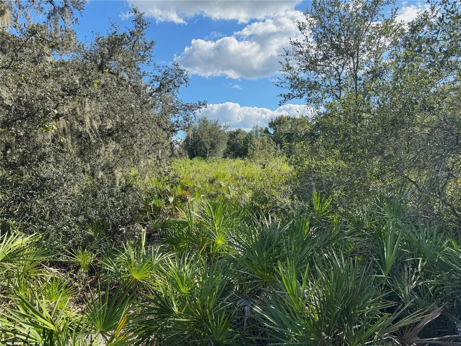 Land at 0 ALTURAS BABSON PARK CUT OFF RD, BARTOW, photo 7 of 22