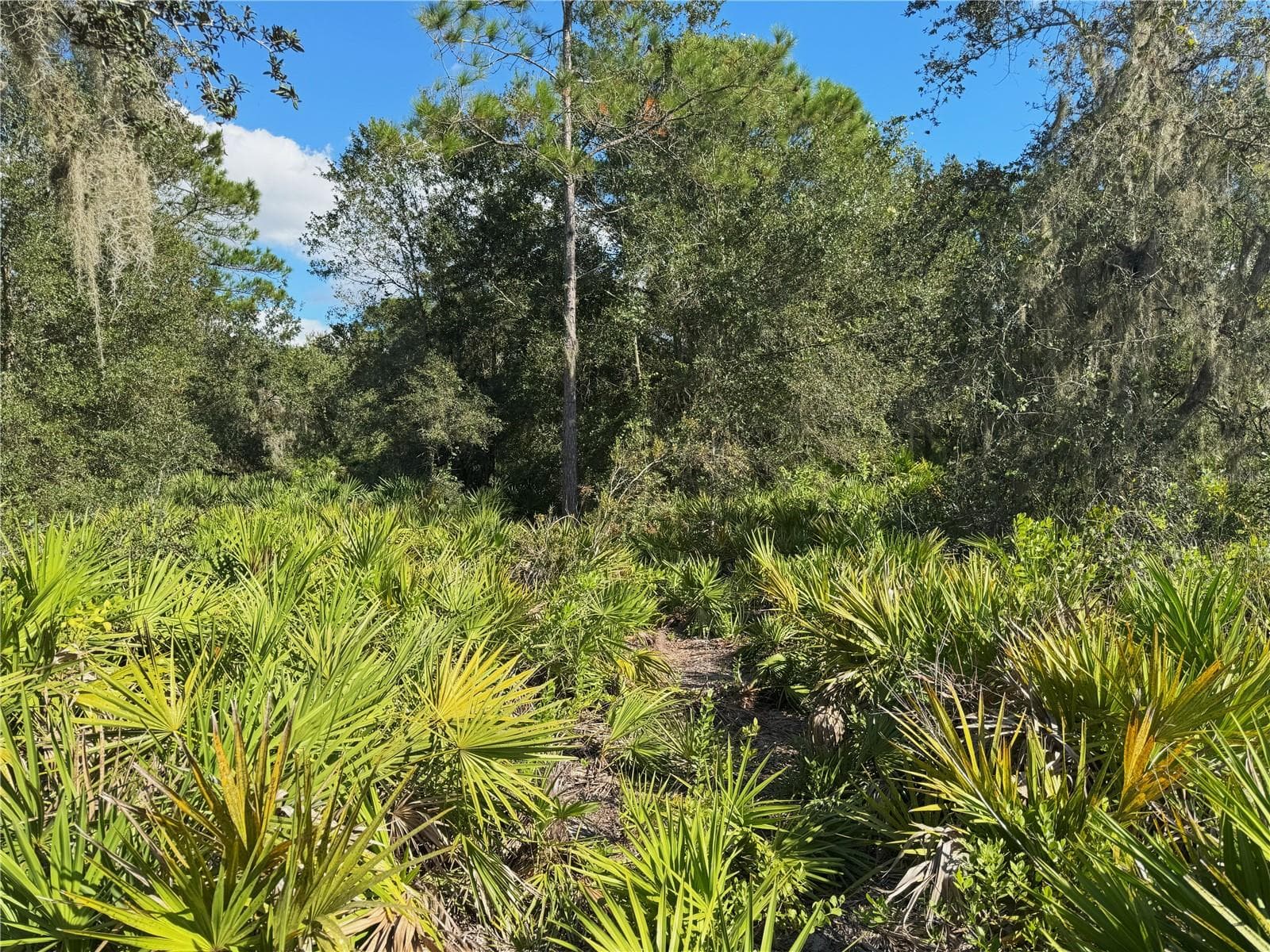 Land at 0 ALTURAS BABSON PARK CUT OFF RD, BARTOW, photo 9 of 22