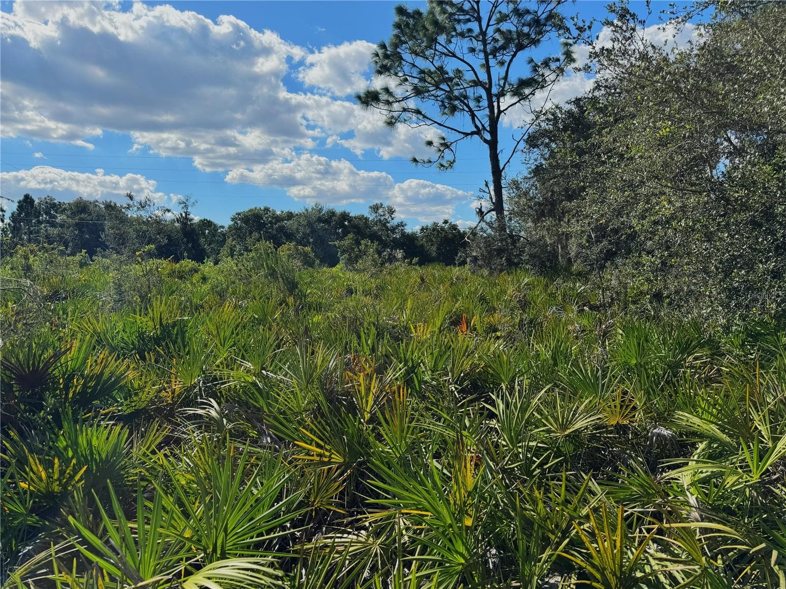 Land at 0 ALTURAS BABSON PARK CUT OFF RD, BARTOW, photo 10 of 22
