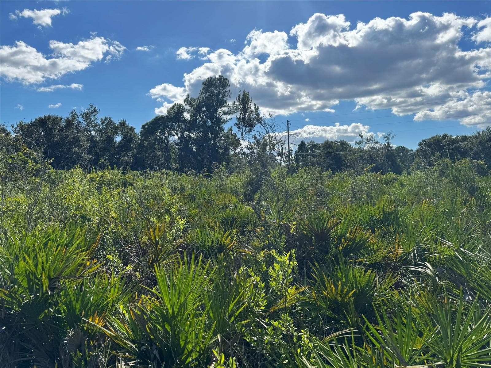 Land at 0 ALTURAS BABSON PARK CUT OFF RD, BARTOW, photo 11 of 22